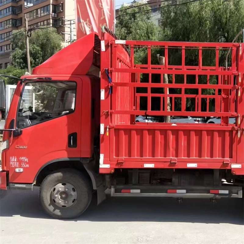 奉新县雅安市物流专线：大件出口快运的多维探索