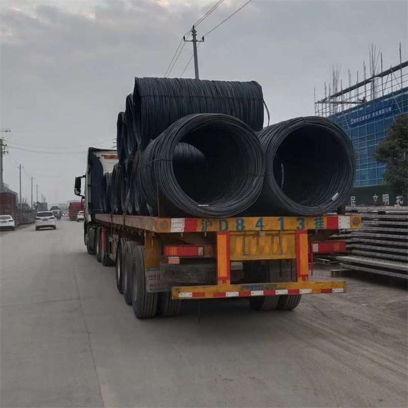 奉新县丽江市物流运输：多元服务与高效线路探秘